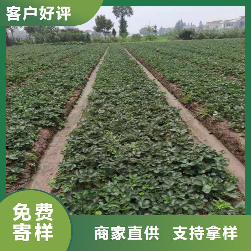 股市必读：彩蝶实业（603073）9月2